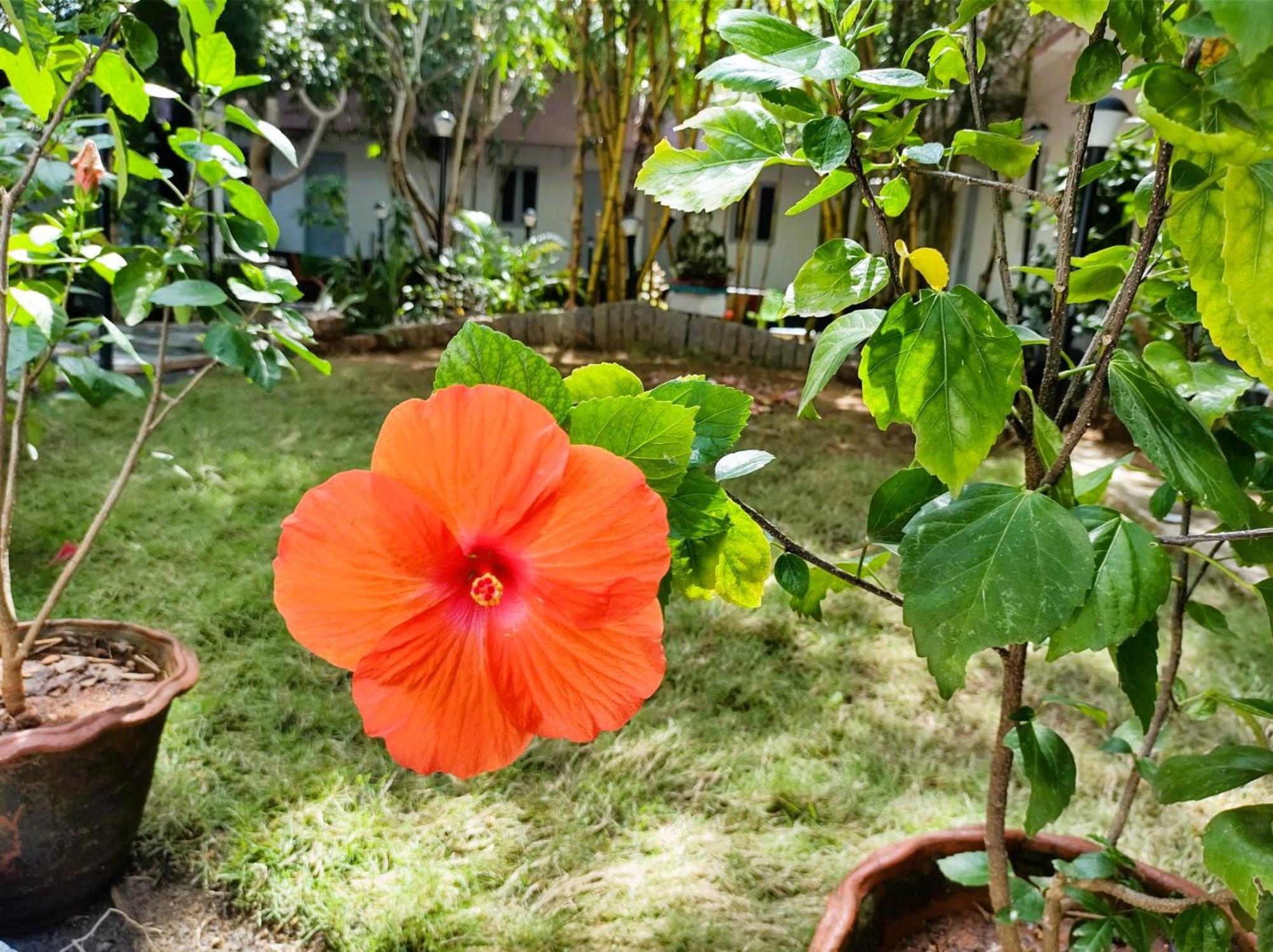 The Well Beach Side Guest House Auroville Exterior foto